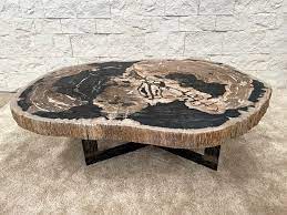 Xylophallus Stone Coffee Table