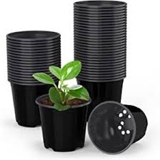 chhaya plastic nursery 4 inch black pot