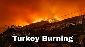 For the second straight day, more than 1,100 people have been evacuated by sea from the tourist hotspot of bodrum to escape turkey's forest fires burning along the mediterranean coast. Pthz70xqv4o8pm