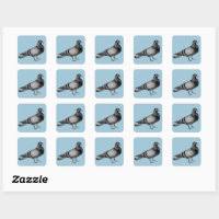 vine pigeon gifts square sticker