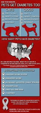 Diabetes symptoms in dogs are widely neglected for being. 17 Pet Diabetes Ideas Diabetic Dog Diabetes Dogs