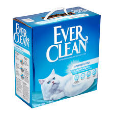 You found your feline kindred spirit and he's coming home from the animal shelter tomorrow. Ever Clean Everfresh With Activated Charcoal Unscented Odor Control Clay Cat Litter 25 Lb Walmart Com Walmart Com