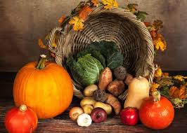 Co a jak jíst na podzim, abychom se cítili dobře? | Vím, co jím