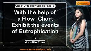 Q32 With The Help Of A Flow Chart Exhibit The Events Of Eutrophication Cbse Class 12 Biology