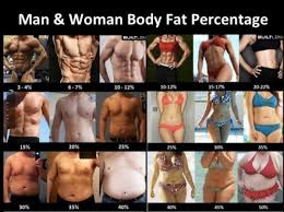 Body Fat Percentage Pretty Accurate Quotes Funnies