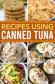 recipes using canned tuna