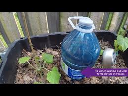 The Self Watering Garden How To Create