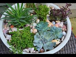 Plant Succulents In A Container Garden