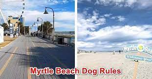 myrtle beach dog rules south carolina