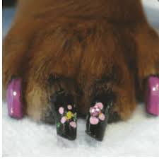 dog nail painting