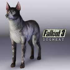 Indeed, our canine companion in fallout 3 and 4 is similar in name only, belonging to two separate dog races. Fallout 3 Dogmeat Puppy Fallout 3 Fallout Dogmeat Fallout