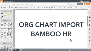 Lucidchart Tutorials Create An Org Chart From Bamboo Hr
