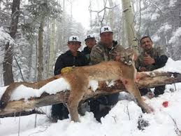 At the next screen, go to the utilities menu and select disk utility. New Mexico Mountain Lion Hunts Cougar Hunts Puma Hunts