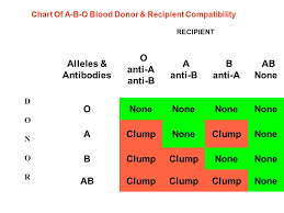 Blood Types Transfusion Cause Reduction Of The Amount Of