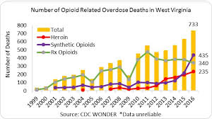 West Virginia Opioid Summary National Institute On Drug