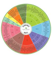The Plant Therapy Fragrance Wheel Explained Naturally