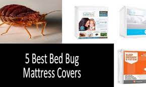 bed bug mattress covers protectors