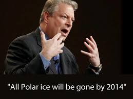 Image result for a frustrated al gore
