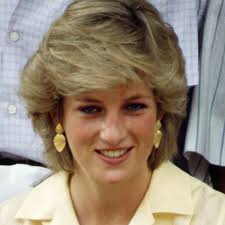 Sergeant xavier gourmelon, who led the response team, said the princess of wales' last words were: Princess Diana S Devastating Final Words As Firefighter Desperately Tried To Save Her Daily Record
