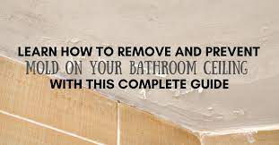 remove mold on bathroom ceiling learn