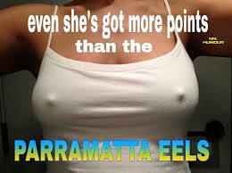Image result for parramatta eels meme