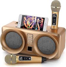 rebirth karaoke machine portable