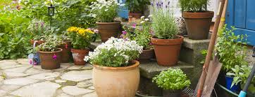 Creating Beautiful Container Gardens In