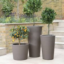 Planters To Add Height To Your Outdoor