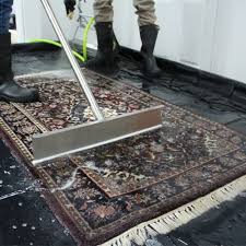rugs cleaning repair protection in