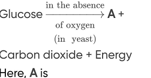 Glucose In The Absence A Of Oxygen