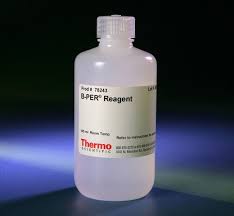 bacterial protein extraction reagent