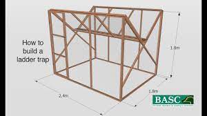 how to build a ladder trap you