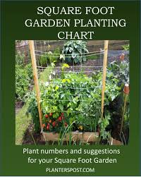 Square Foot Garden Plant Numbers Chart