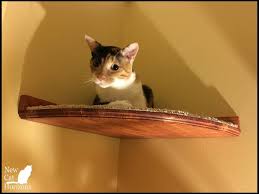 Floating Corner Cat Bed Shelf W