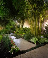 25 Best Tropical Garden Design Ideas