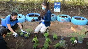 Bat Friendly Garden With Native Plants