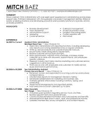 Resume Examples Free Download    Excellent Resume Templates With     Captivating Excellent Resume Examples