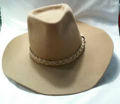Stetson Sheplers 4x Beaver Mens Western Hat Braided Belt