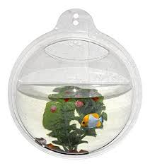 Bubble Wall Fish Bowl Glass Fish Bowl