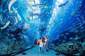 dubai aquarium level 124 burj khalifa