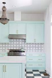 the unexpected kitchen cabinet color