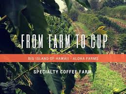 Kona Prime | Coffee | Cropster Hub
