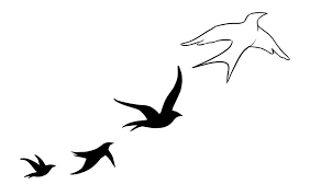 Bird Tattoo Designs In Impressive Ideas Birds 14 Black Four