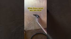 newark delaware carpet cleaner 302 559