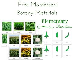Elementary Observations Free Botany Materials