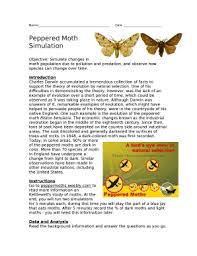 Why are these moths called peppered moths? they are called peppered moths because their wings are. Peppered Moth Simulation Answer Key Pdf Doc Template Pdffiller