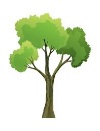 Green Tree Icon Natural Forest Plant