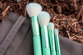 moda brushes renew brush kit review