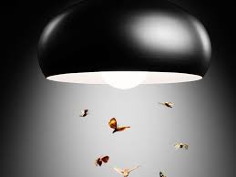 yellow light bulbs keep bugs away