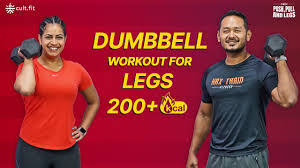 push pull legs workout meaning